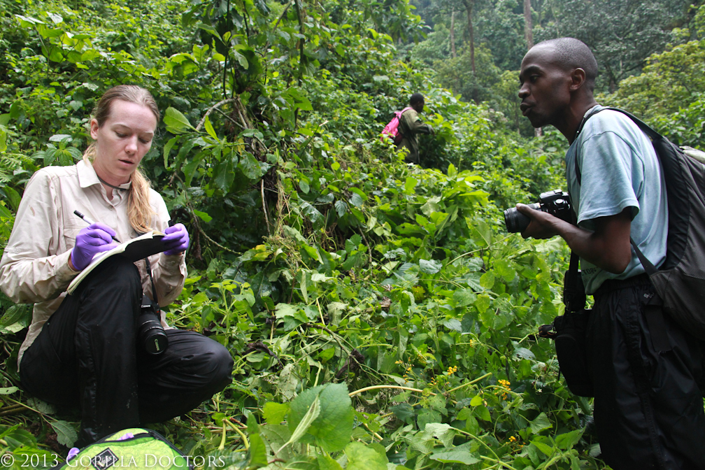 UC Davis PhD Student Conducts Research with Dr. Fred in Bwindi